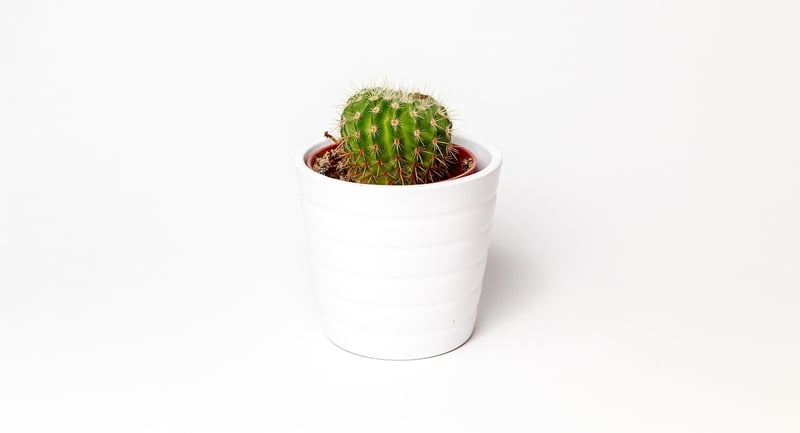 Personalized Plant Pot